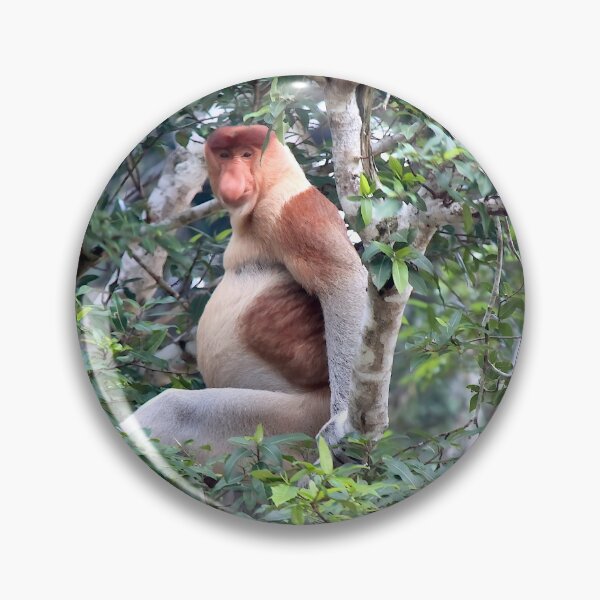 Item preview, Proboscis Monkey designed and sold by pawprintz.