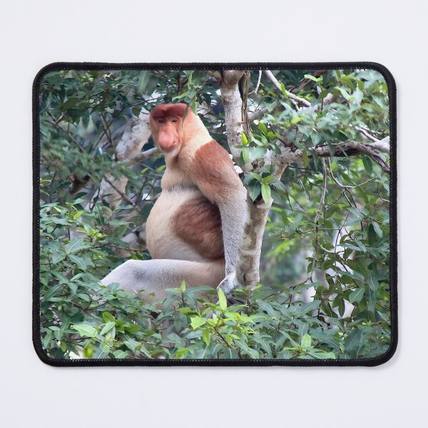 Item preview, Proboscis Monkey designed and sold by pawprintz.