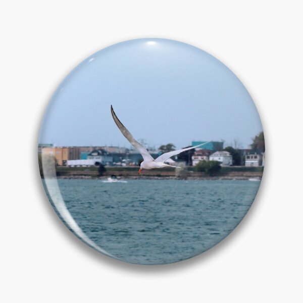 Item preview, Caspian Tern Flying Over Lake Erie designed and sold by BackyardBirder.