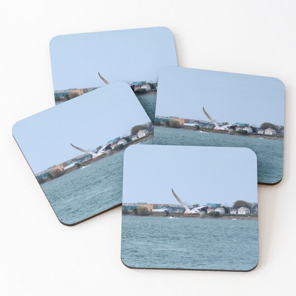Item preview, Caspian Tern Flying Over Lake Erie designed and sold by BackyardBirder.