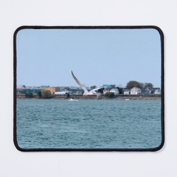 Item preview, Caspian Tern Flying Over Lake Erie designed and sold by BackyardBirder.