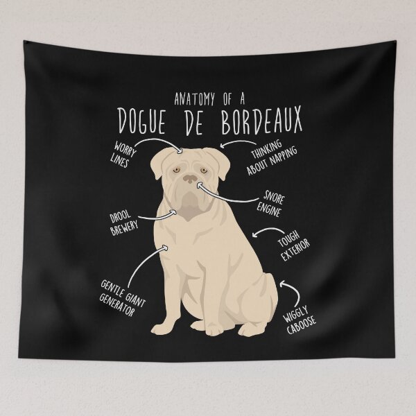 Item preview, Isabella Dogue de Bordeaux Dog Anatomy designed and sold by Clara Hollins.