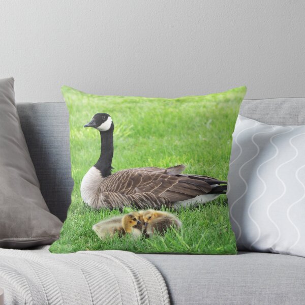 Item preview, Canada Goose Resting With Its Goslings designed and sold by BackyardBirder.