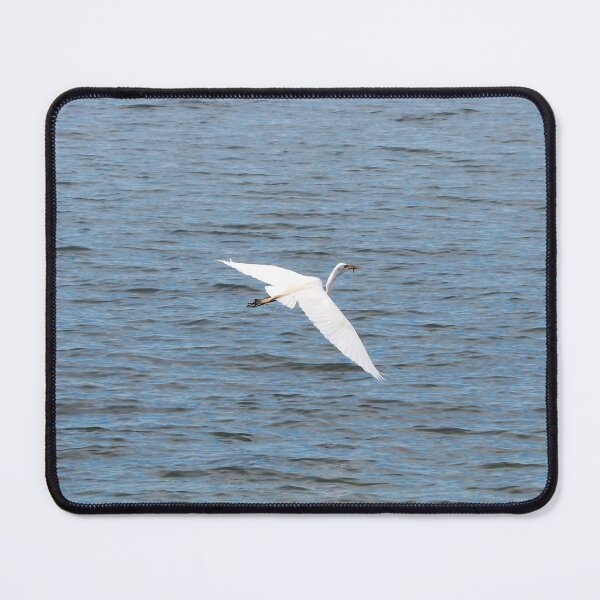 Item preview, Great Egret Flying With a Fish In Its Bill designed and sold by BackyardBirder.