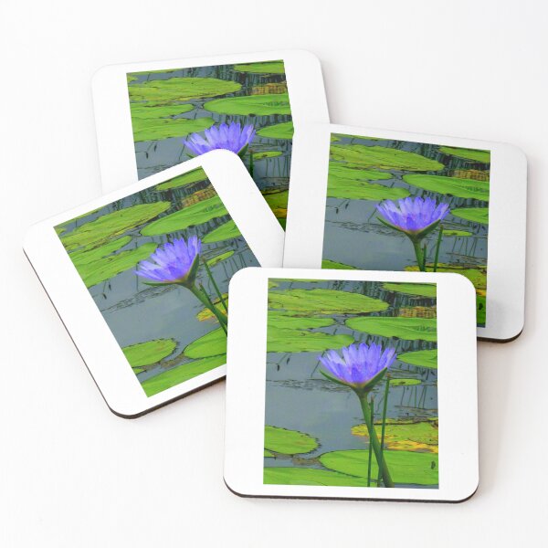 Item preview, Water Lilly Cooroibah, QLD, 3 designed and sold by Angela Gannicott.