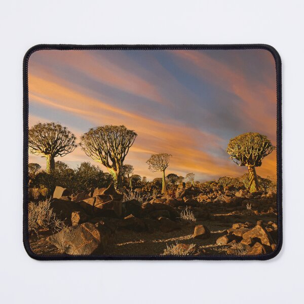 Item preview, Fantastic Colored Sky over African Quiver Trees  designed and sold by jaynerushton.