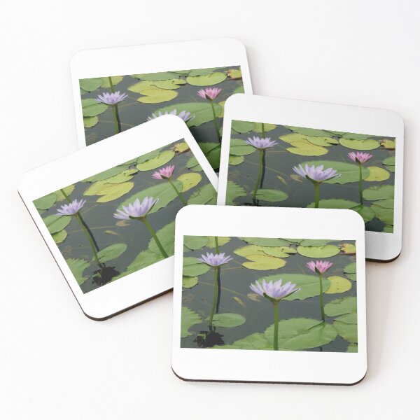 Artikelvorschau, Water Lillies, Cooroibah, QLD. entworfen und verkauft von Angela Gannicott.