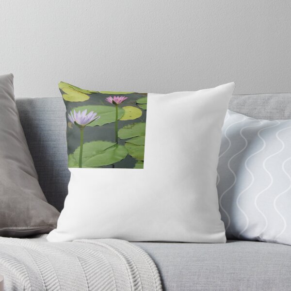 Artikelvorschau, Water Lillies, Cooroibah, QLD. entworfen und verkauft von Angela Gannicott.