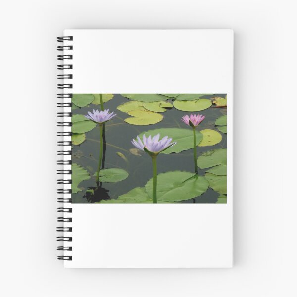 Item preview, Water Lillies, Cooroibah, QLD. designed and sold by Angela Gannicott.