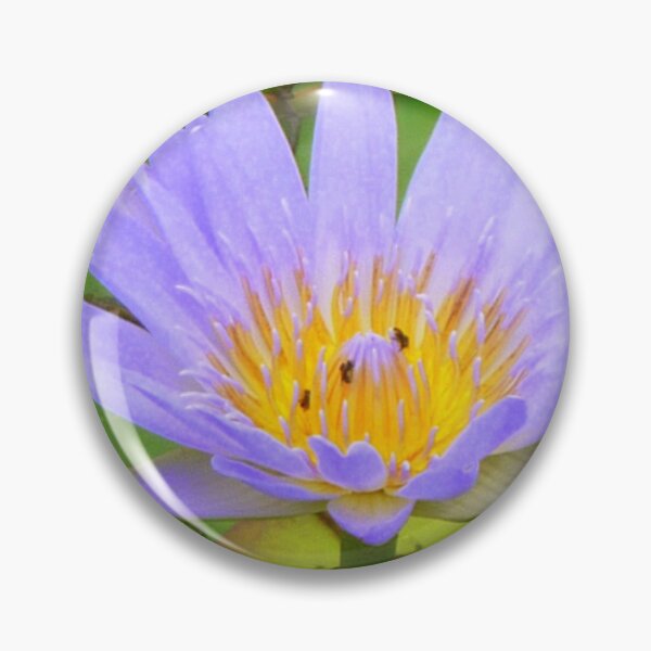 Artikelvorschau, Water Lilly Cooroibah, QLD, 4 entworfen und verkauft von Angela Gannicott.