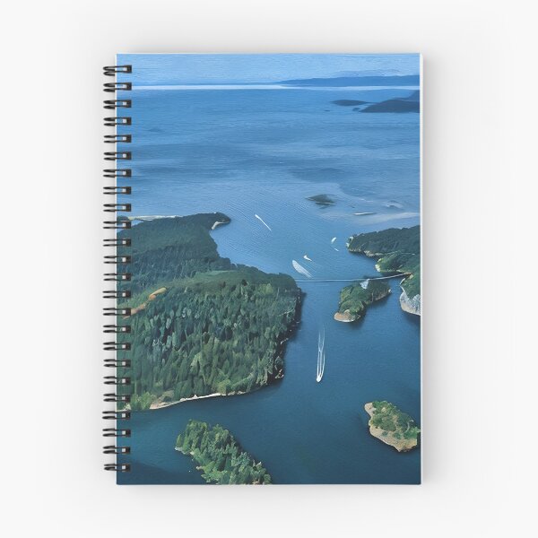 Item preview, Deception Pass Puget Sound (Oil Painting) designed and sold by flyscenicair.