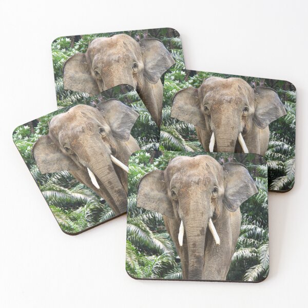 Item preview, Male elephant designed and sold by pawprintz.