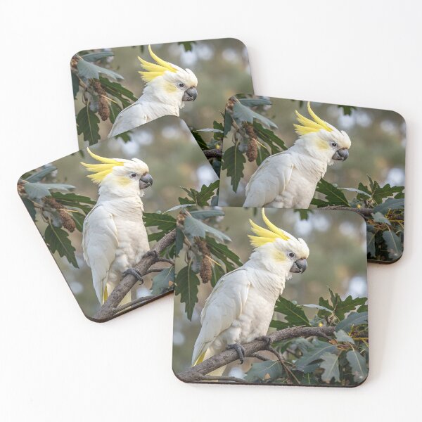 Item preview, Sulfur-crested Cockatoo designed and sold by pawprintz.