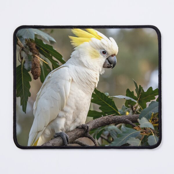 Item preview, Sulfur-crested Cockatoo designed and sold by pawprintz.