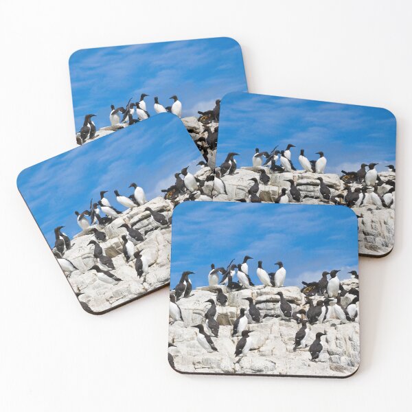 Item preview, Colony of Guillemots on Rocky Cliffs at the Farne Isles designed and sold by David Patterson.