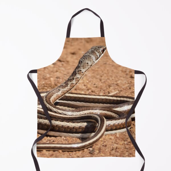 Item preview, Western Yellow-bellied Sand Snake (Psammophis subtaeniatus) designed and sold by Pixel Press Prints.