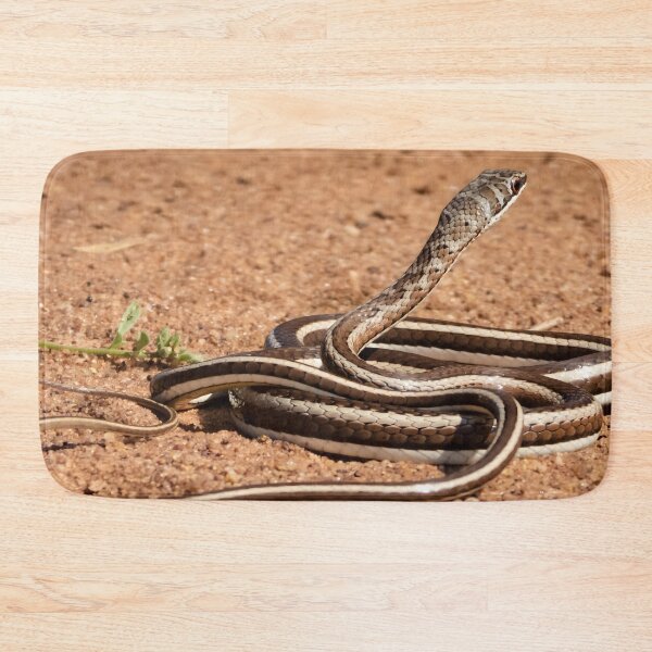 Item preview, Western Yellow-bellied Sand Snake (Psammophis subtaeniatus) designed and sold by Pixel Press Prints.