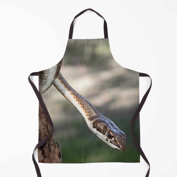 Item preview, Karoo Sand Snake (Psammophis notostictus) designed and sold by Pixel Press Prints.