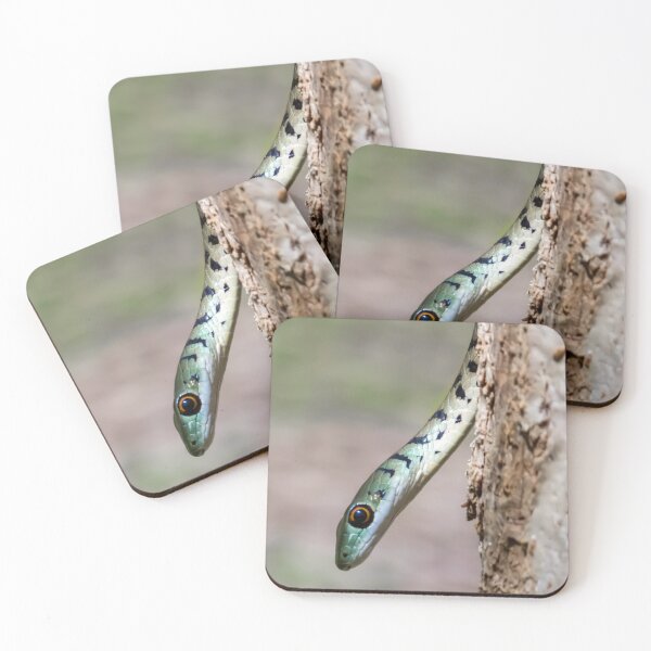 Item preview, Spotted Bush Snake (Philothamnus semivariegatus) designed and sold by Pixel Press Prints.