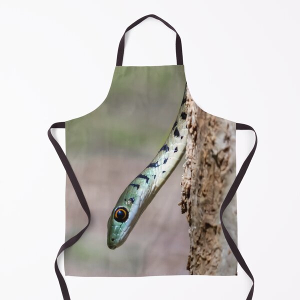 Item preview, Spotted Bush Snake (Philothamnus semivariegatus) designed and sold by Pixel Press Prints.