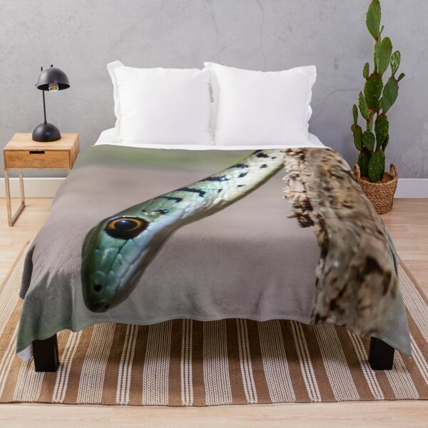 Item preview, Spotted Bush Snake (Philothamnus semivariegatus) designed and sold by Pixel Press Prints.