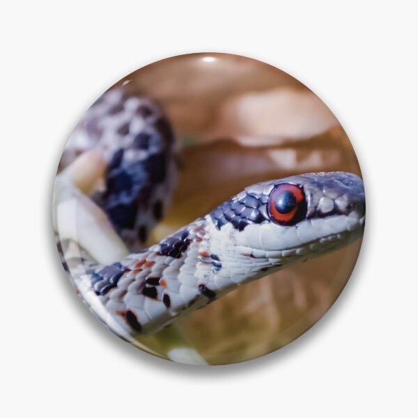 Item preview, Spotted Skaapsteker (Psammophylax rhombeatus) designed and sold by Pixel Press Prints.