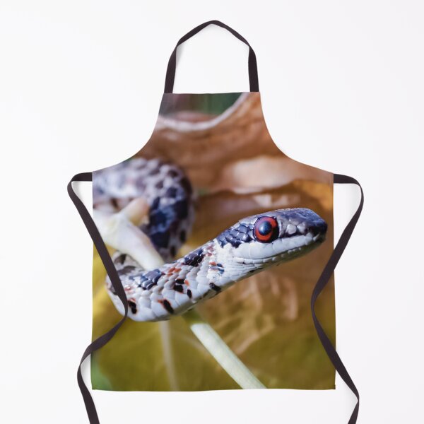Item preview, Spotted Skaapsteker (Psammophylax rhombeatus) designed and sold by Pixel Press Prints.