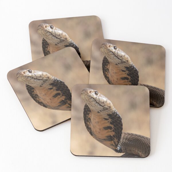 Item preview, Mozambique Spitting Cobra (Naja mossambica) designed and sold by Pixel Press Prints.
