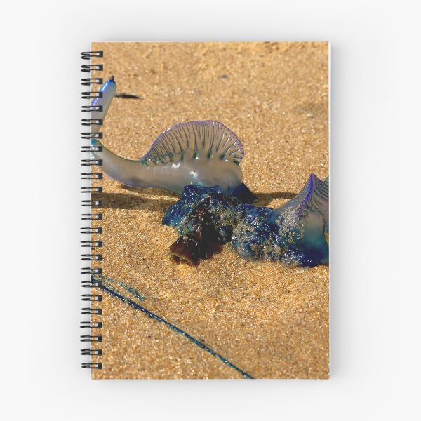 Item preview, Bluebottles on the Beach designed and sold by smh2.