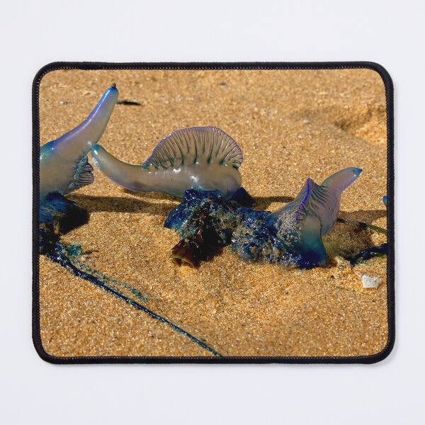 Item preview, Bluebottles on the Beach designed and sold by smh2.