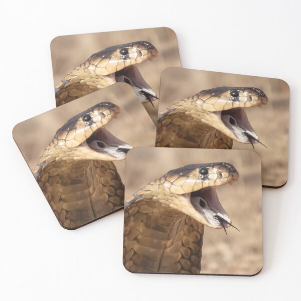 Item preview, Snouted Cobra (Naja annulifera) designed and sold by Pixel Press Prints.
