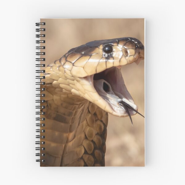 Item preview, Snouted Cobra (Naja annulifera) designed and sold by Pixel Press Prints.