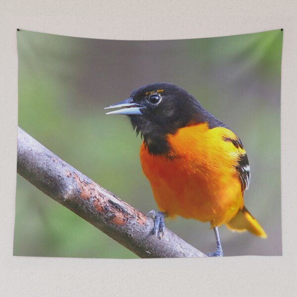 Item preview, Baltimore Oriole designed and sold by Enola Gay Wagner.