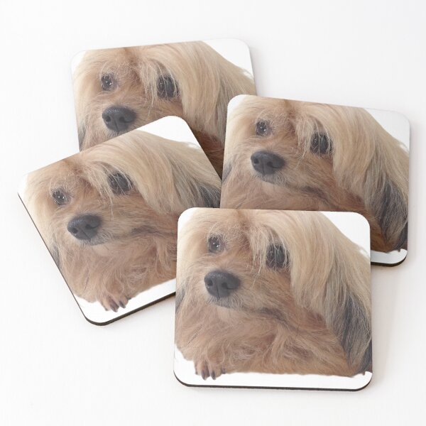 Item preview, portrait of a dog, A small brown dog lay down designed and sold by pipikijung.