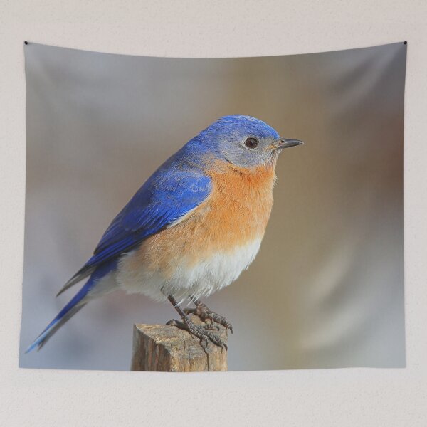 Item preview, Blue bird designed and sold by Enola Gay Wagner.