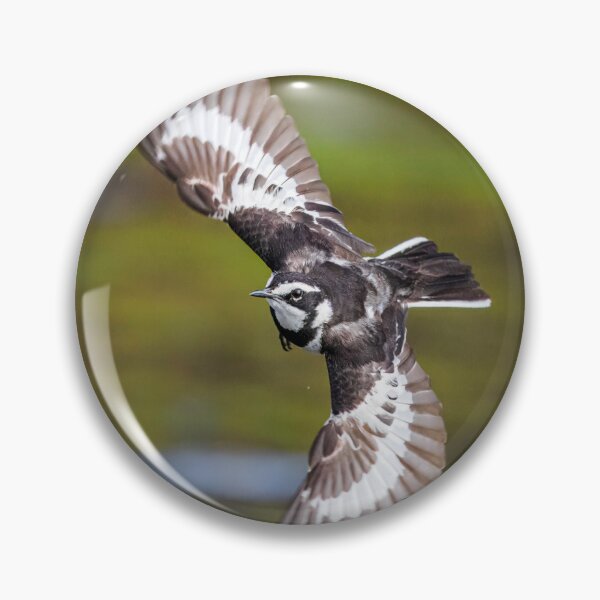 Item preview, African Wagtail designed and sold by Wild Images.