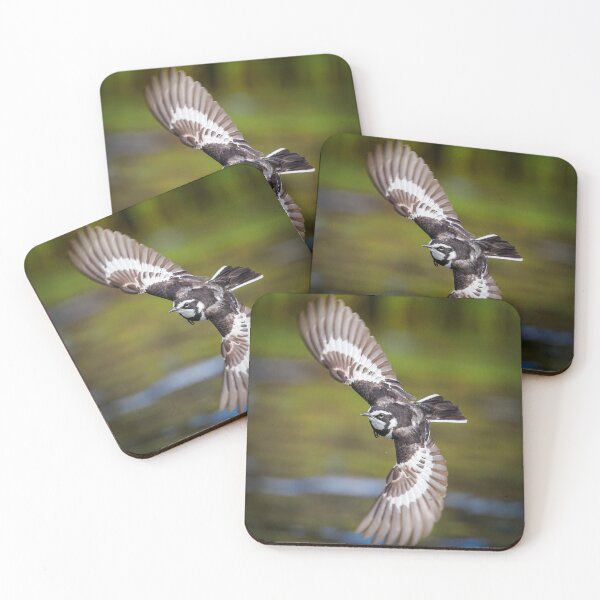 Item preview, African Wagtail designed and sold by Wild Images.