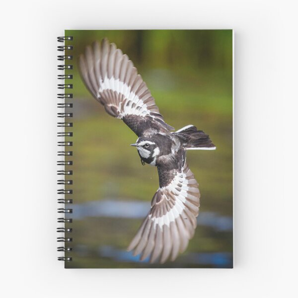 Item preview, African Wagtail designed and sold by Wild Images.