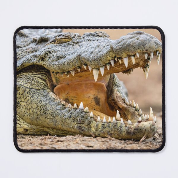 Item preview, Nile Crocodile designed and sold by Wild Images.
