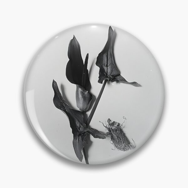 Item preview, Palestine arums (Arum palaestinum Boiss) designed and sold by CharlotteSDJ.