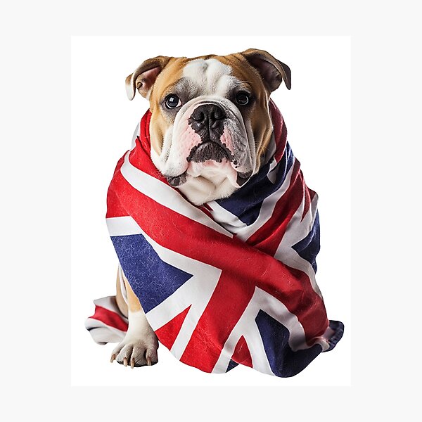 Artikel-Vorschau von Die große britische Bulldogge, designt und verkauft von MarkColeImaging.