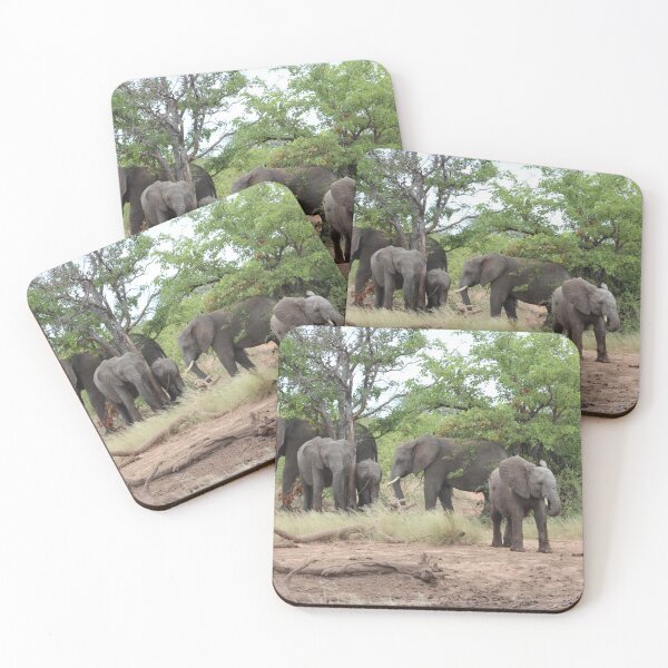 Item preview, Elephant family in Mapungubwe, #South Africa designed and sold by Jean-Marie Heyman.