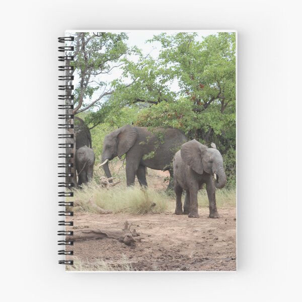 Item preview, Elephant family in Mapungubwe, #South Africa designed and sold by Jean-Marie Heyman.