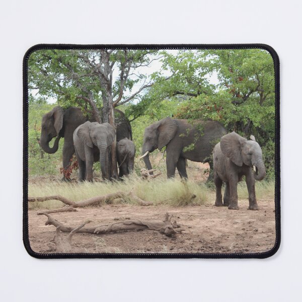 Item preview, Elephant family in Mapungubwe, #South Africa designed and sold by Jean-Marie Heyman.