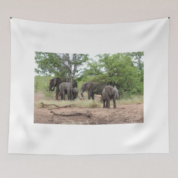 Item preview, Elephant family in Mapungubwe, #South Africa designed and sold by Jean-Marie Heyman.