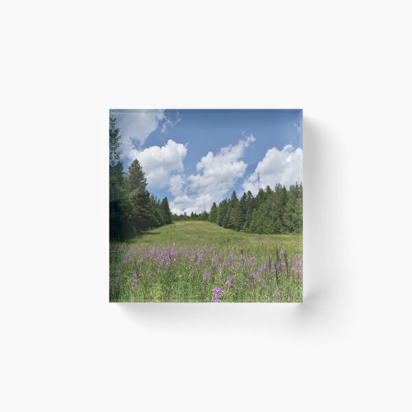 Item preview, The summer recreation area designed and sold by Claude Laprise.