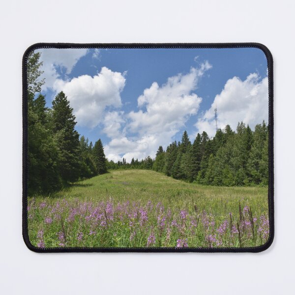 Item preview, The summer recreation area designed and sold by Claude Laprise.