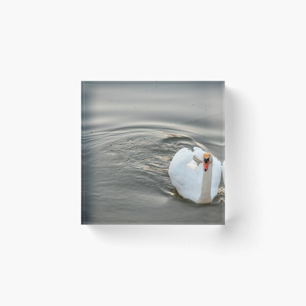 Item preview, Make A U Turn designed and sold by Beverley Barrett.