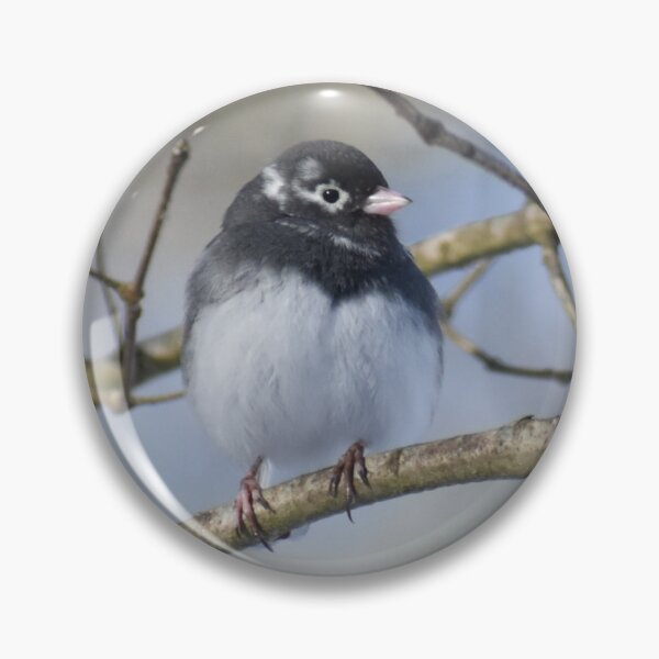 Item preview, Leucistic Dark-eyed Junco designed and sold by Tonia Delozier's Photography .