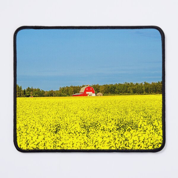Item preview, Red Barn Canola Field designed and sold by SketchWithLight.
